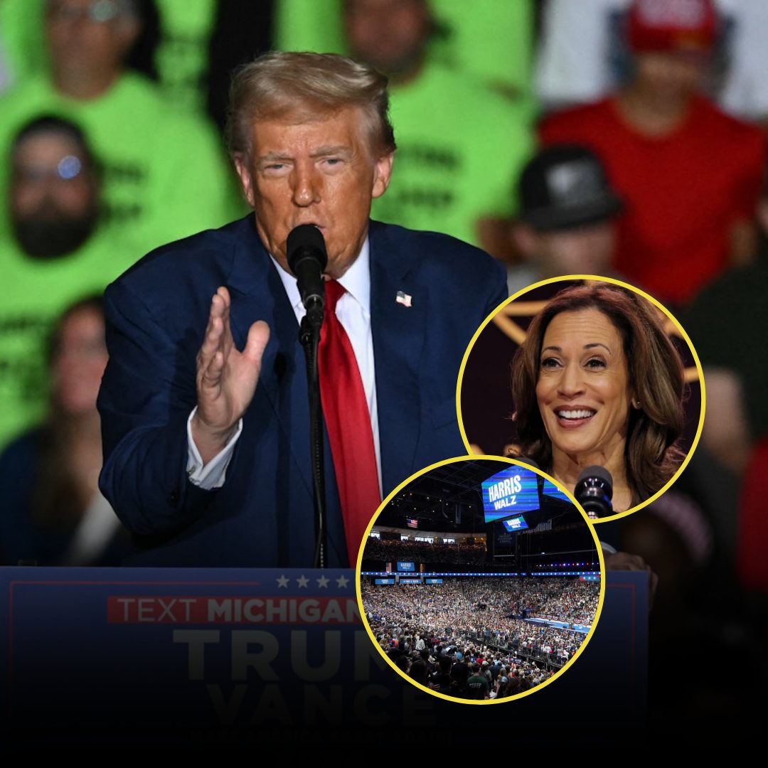 Cover Image for Trump’s True Crowd Size Exposed in Embarrassing Video