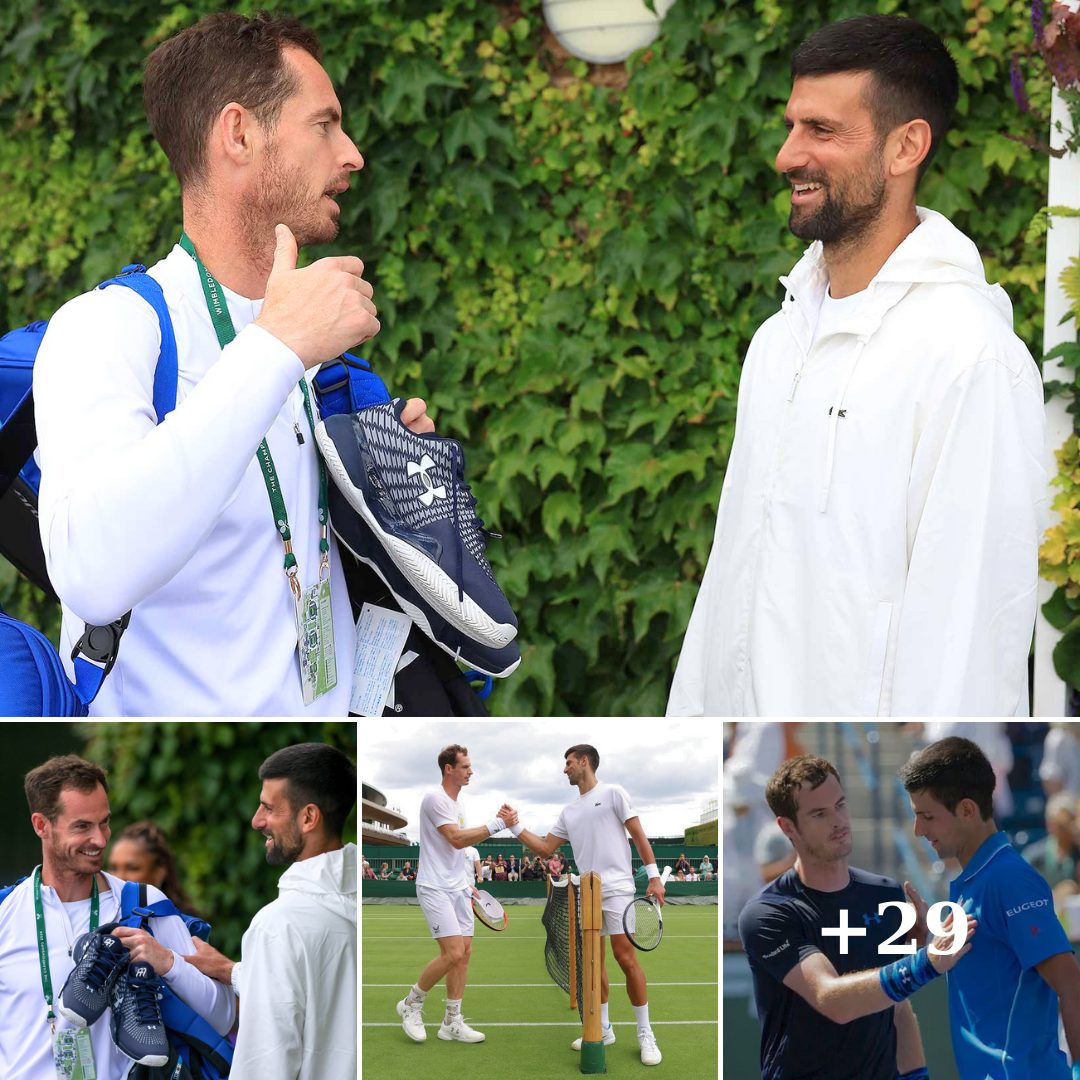 Cover Image for Djokovic elige a Andy Murray como entrenador: La ambición de un campeón