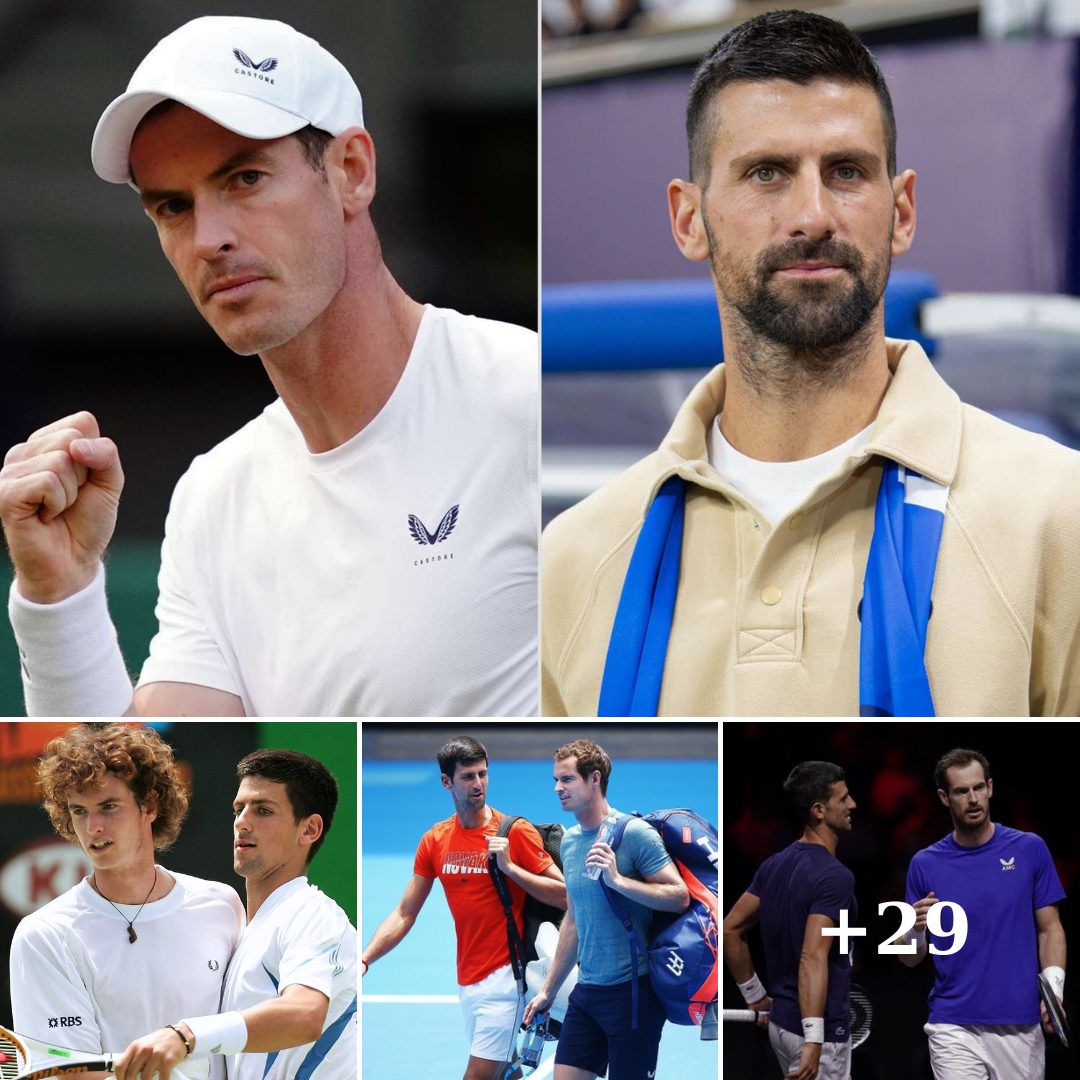 Cover Image for ¿Por qué Djokovic contrató a Murray como entrenador? Esta es la razón